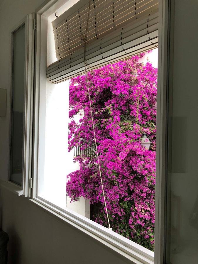 Centric Townhouse Cadaques - Casa Voltes - Villa Ngoại thất bức ảnh